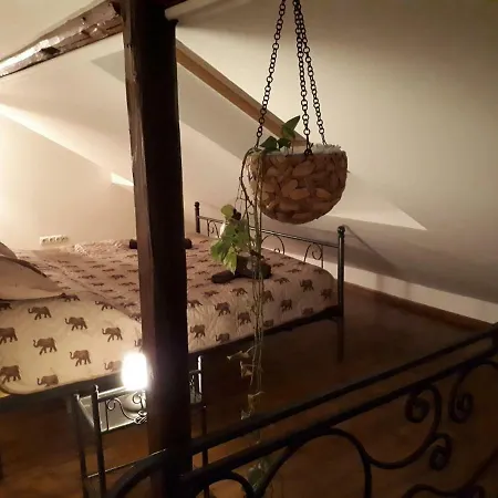 Aranycsillag Green Apartman * 블로톤퓌레드