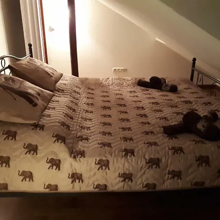 Aranycsillag Green Apartman