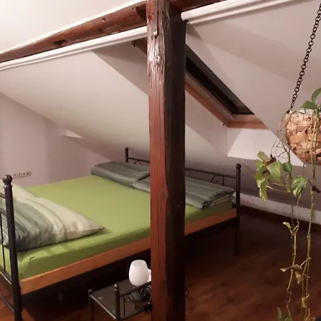 Aranycsillag Green Apartman 아파트